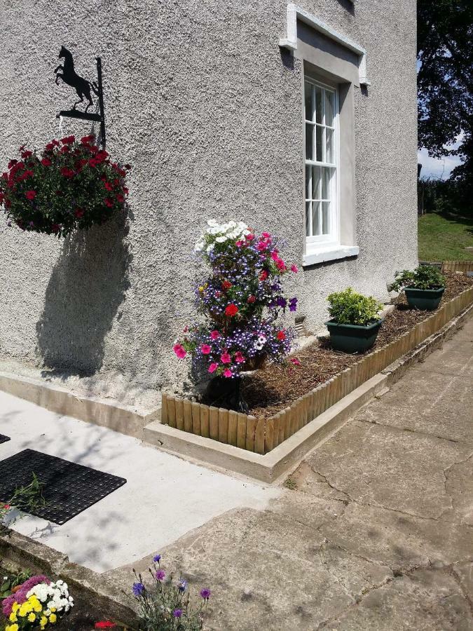 Roosecote Guest House Barrow-in-Furness Exteriör bild